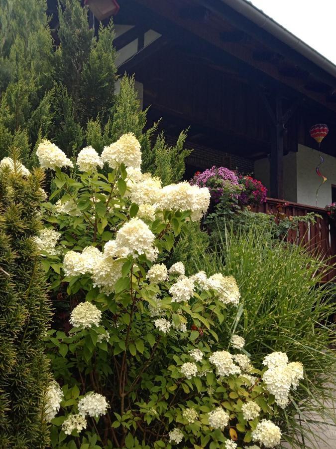 Ferienwohnung Schmallenberg * Schmallenberg